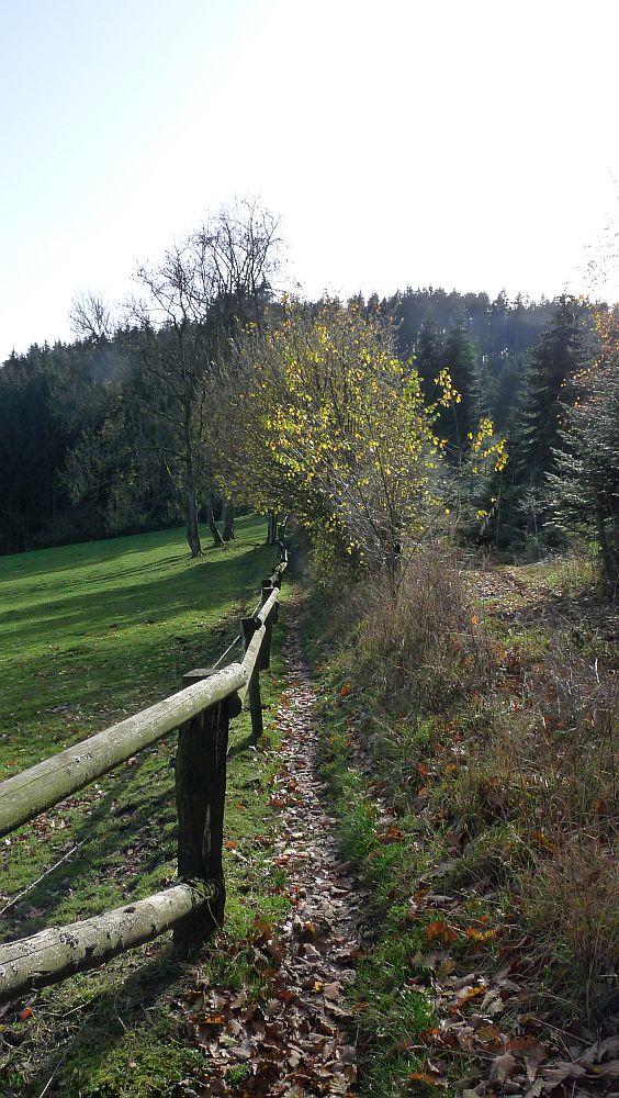 Sauerland Hoehenflug