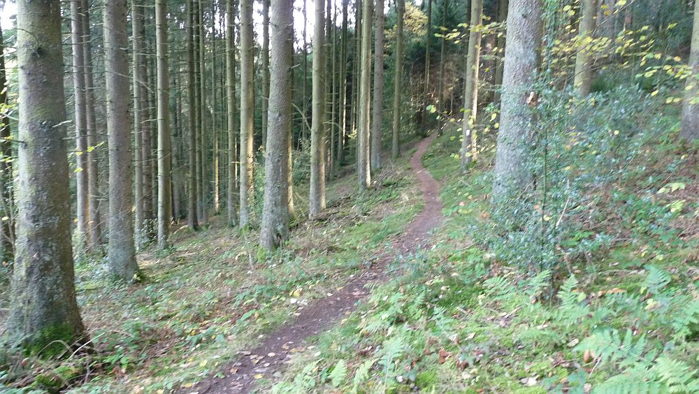 Sauerland Hoehenflug