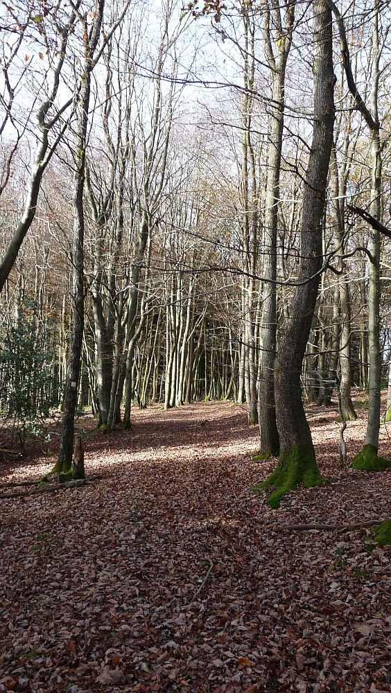 Sauerland Hoehenflug