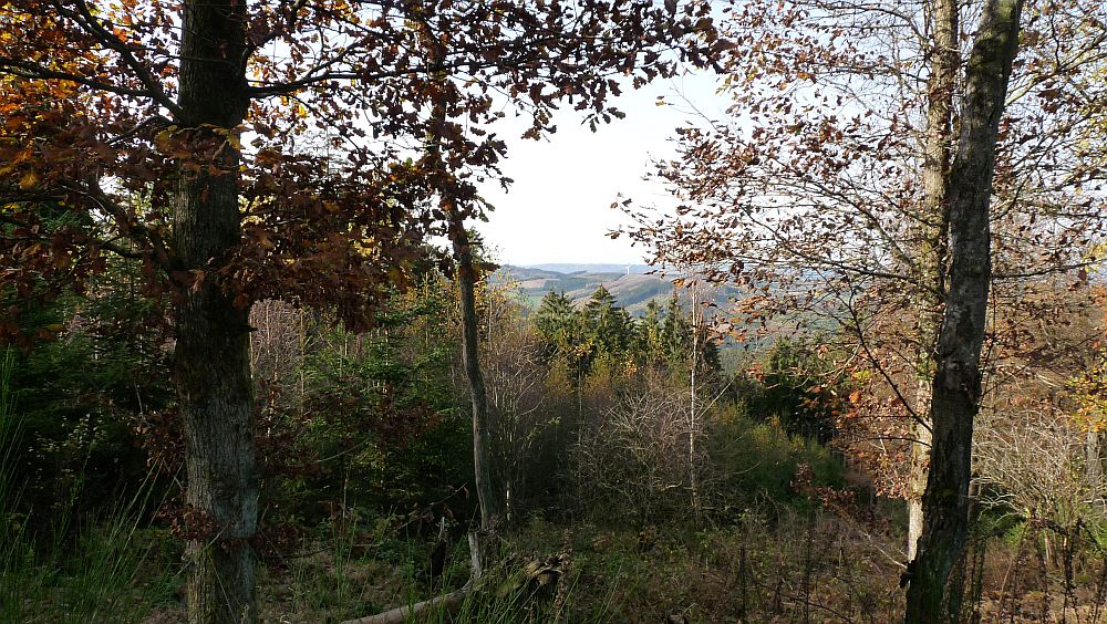 Sauerland Hoehenflug