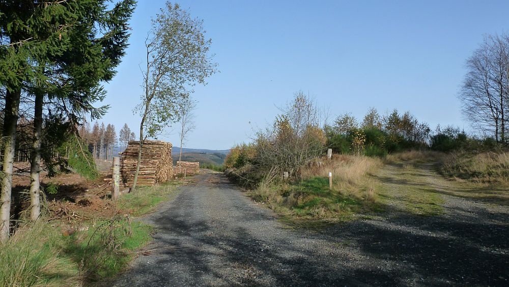 Sauerland Hoehenflug