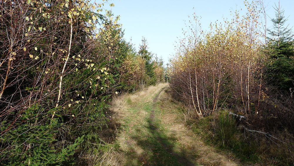 Sauerland Hoehenflug