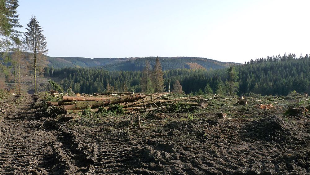 Sauerland Hoehenflug