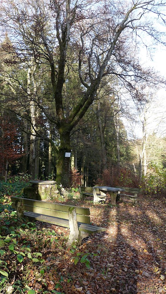 Sauerland Hoehenflug