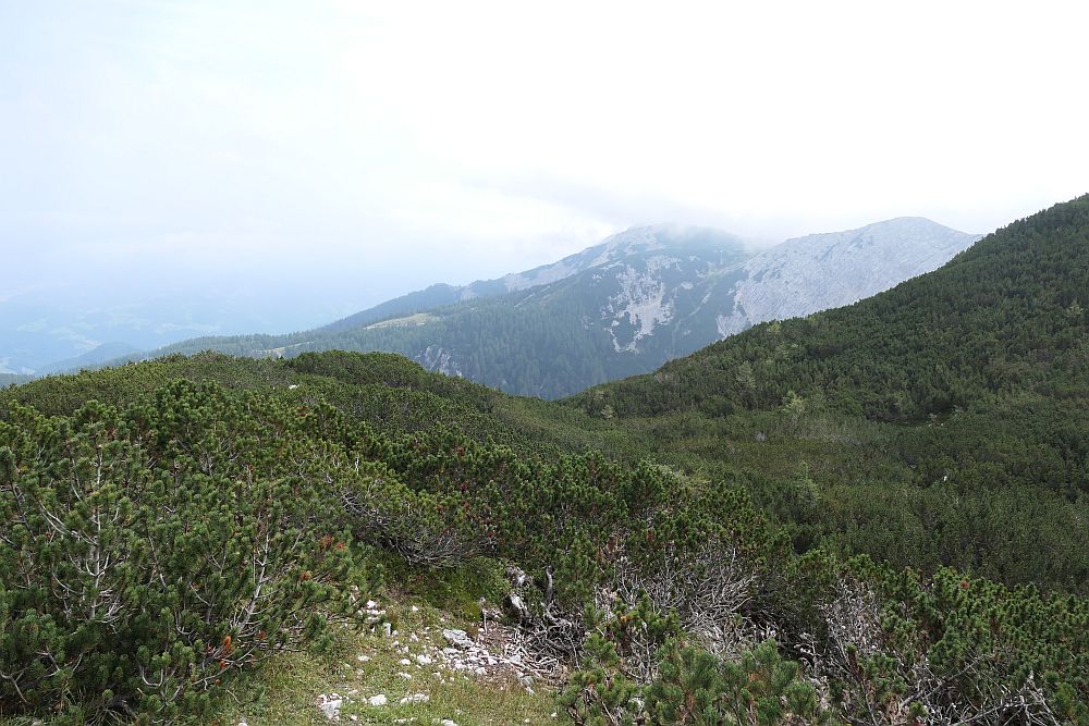 Hohe Petzen