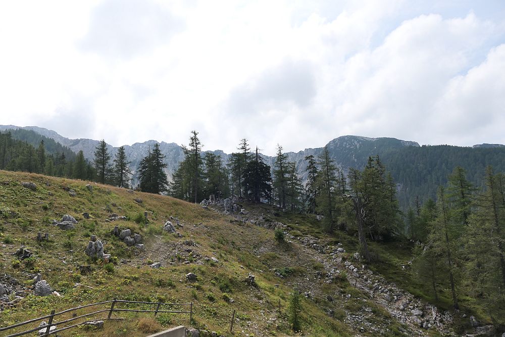 Hohe Petzen