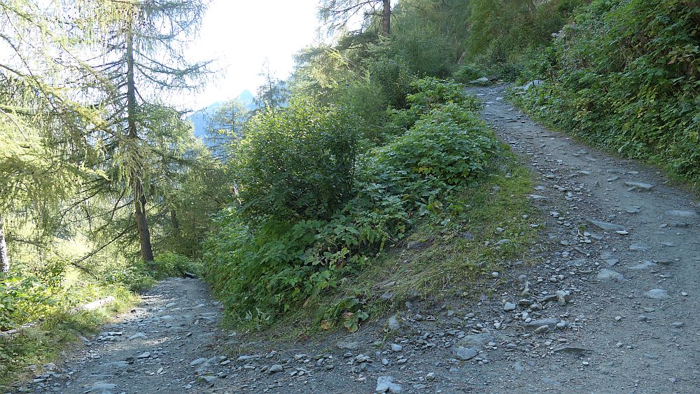 Isel Trail