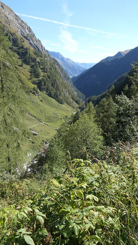 Isel Trail