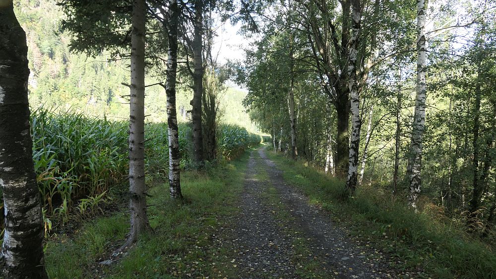 Isel Trail