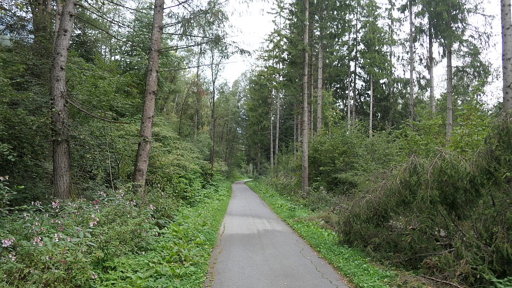 Isel Trail