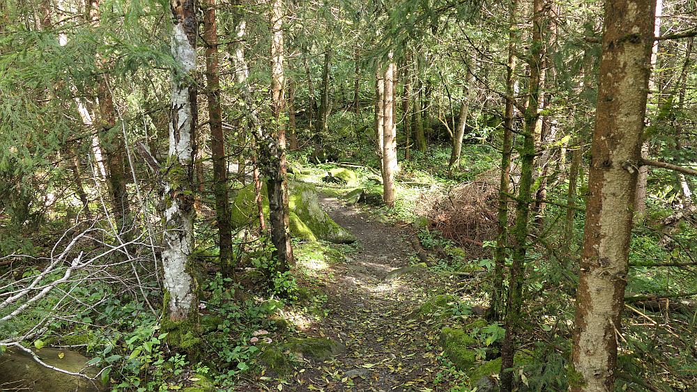 Isel Trail