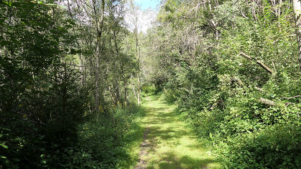 Isel Trail