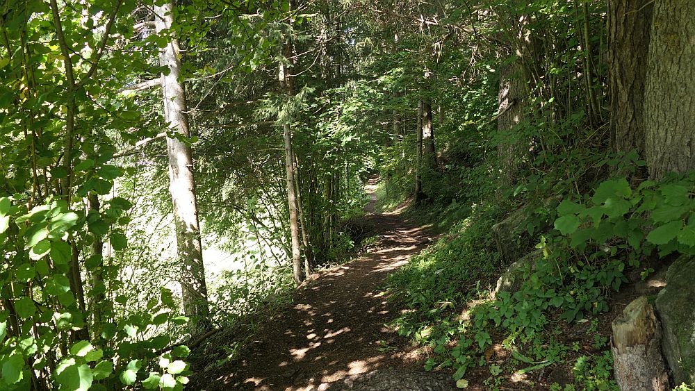 Isel Trail