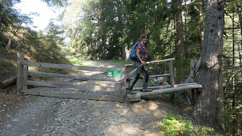 Isel Trail