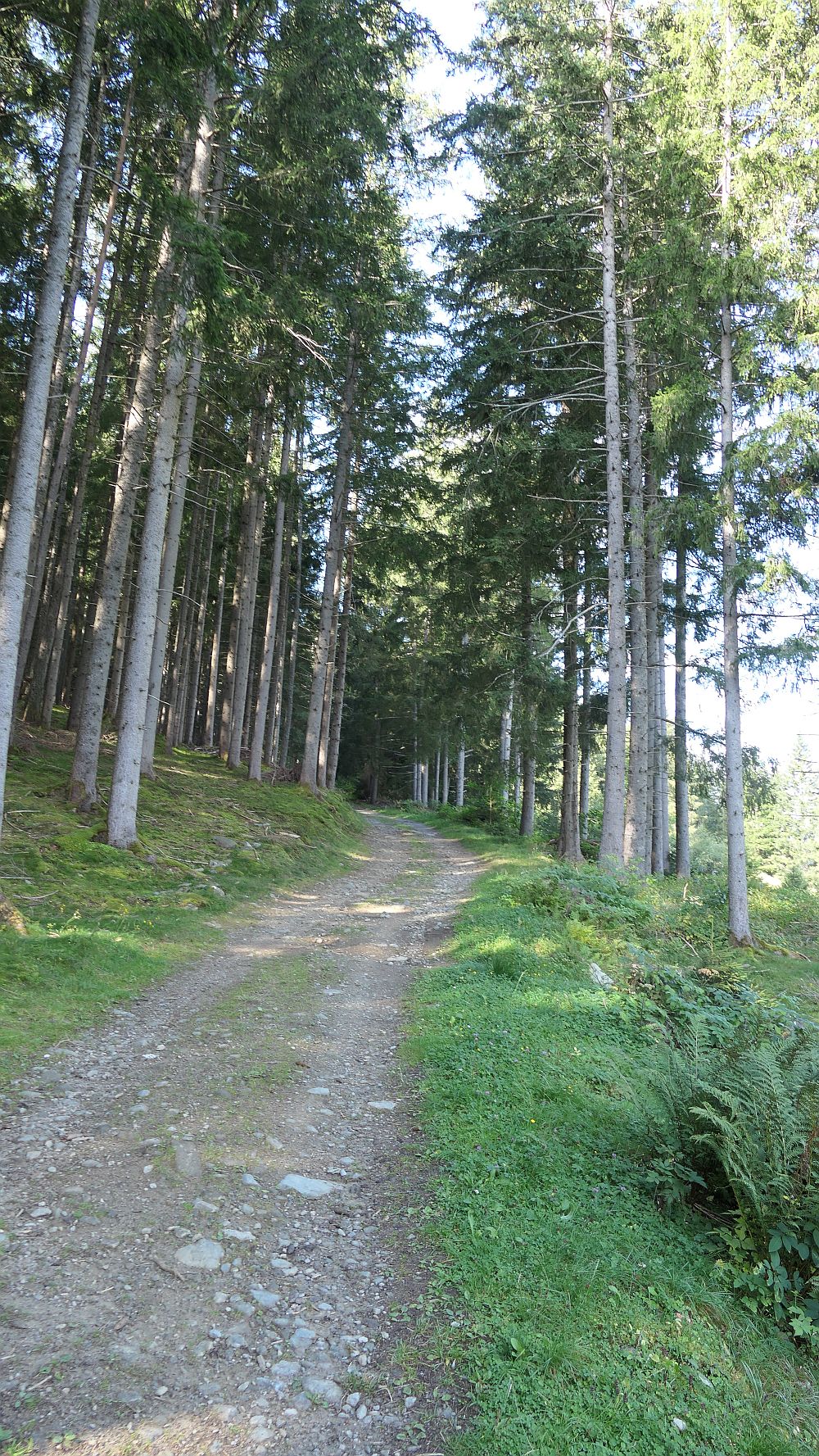 Isel Trail