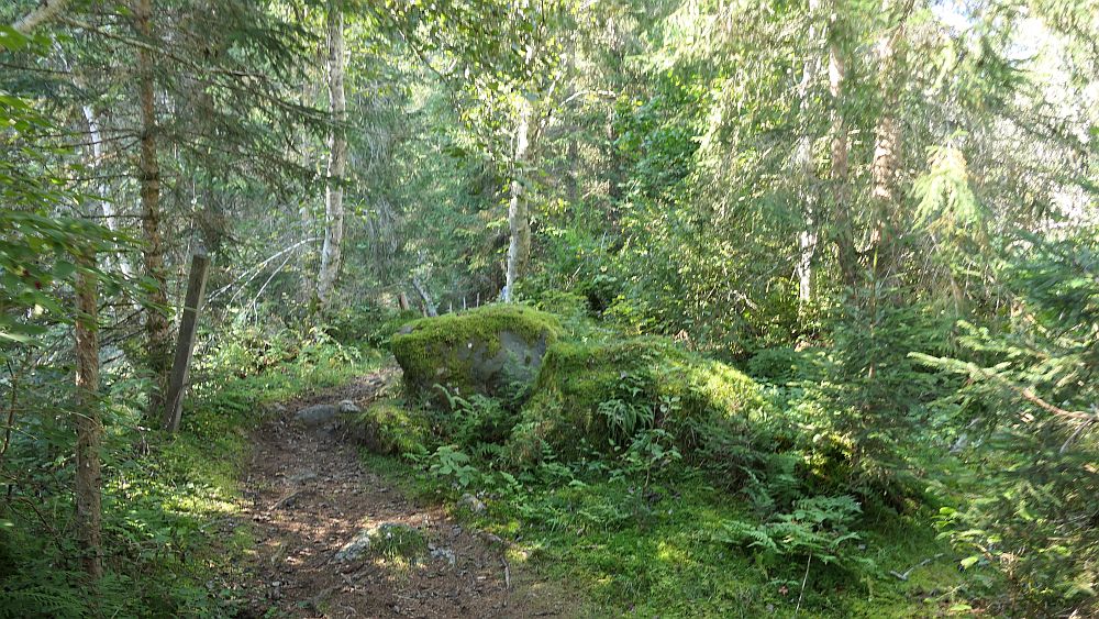 Isel Trail
