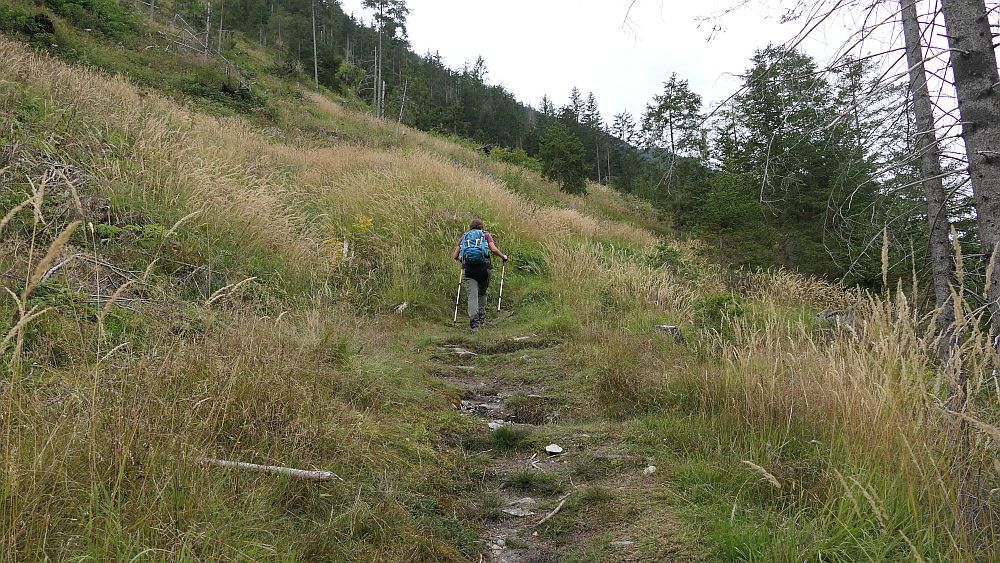Isel Trail
