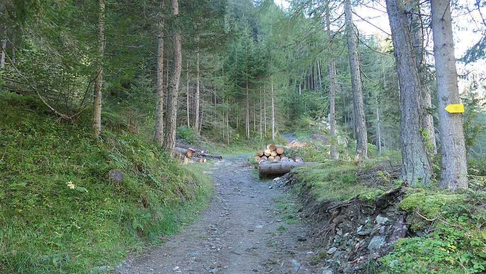 Isel Trail