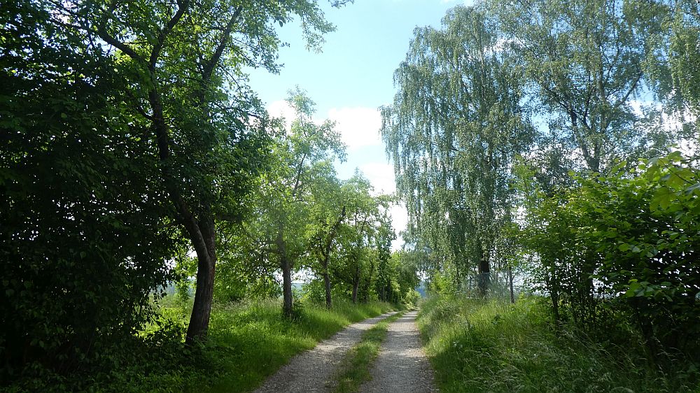 Ith Hils Weg