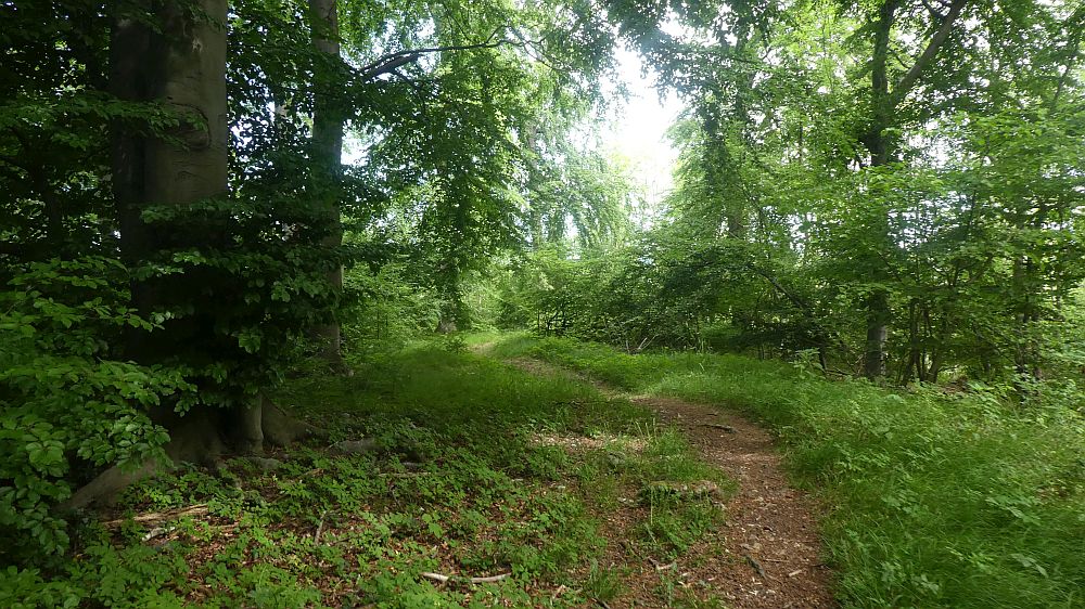 Ith Hils Weg