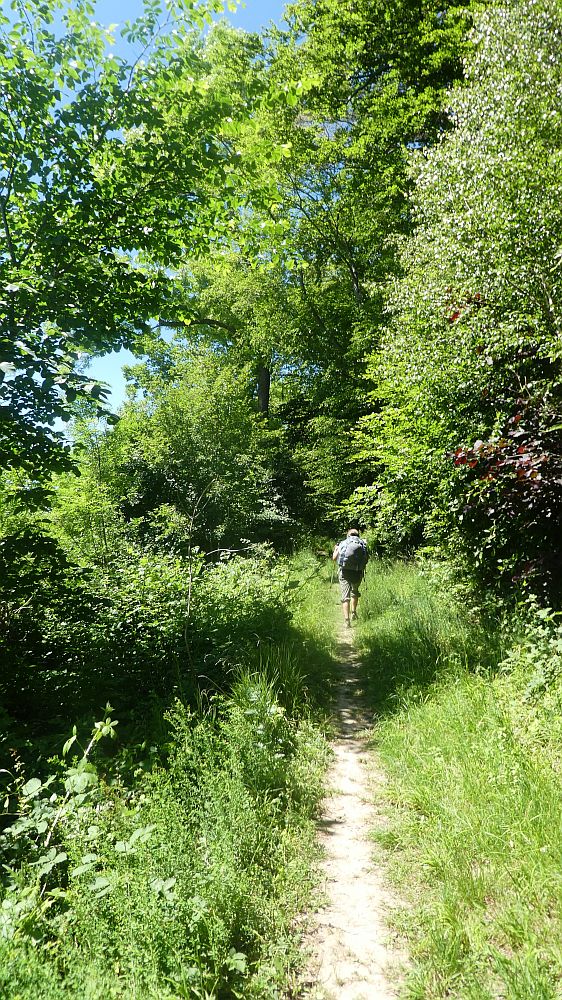 Ith Hils Weg