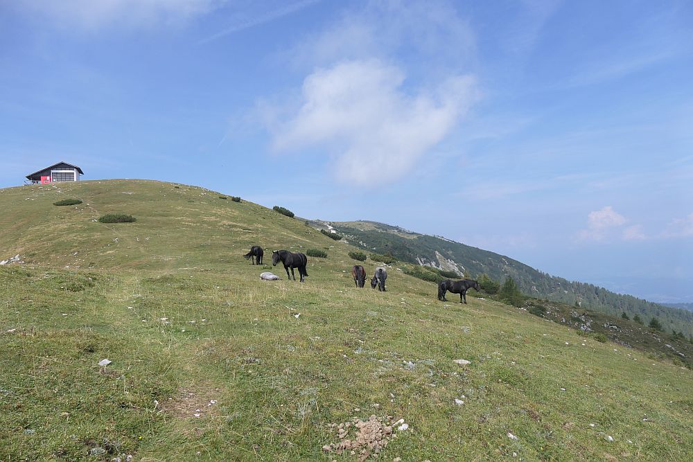 Jaegersteig