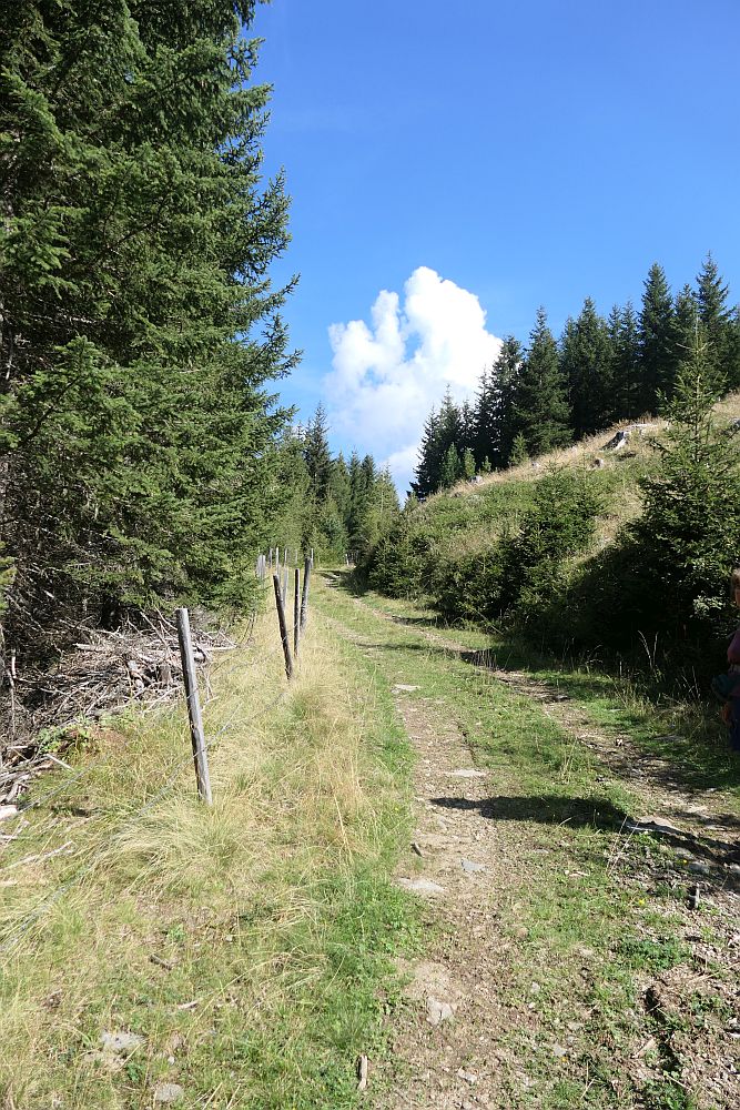 Jauchzahütte Innerkrems