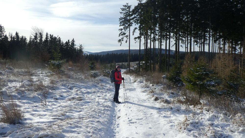 Briloner Kammweg
