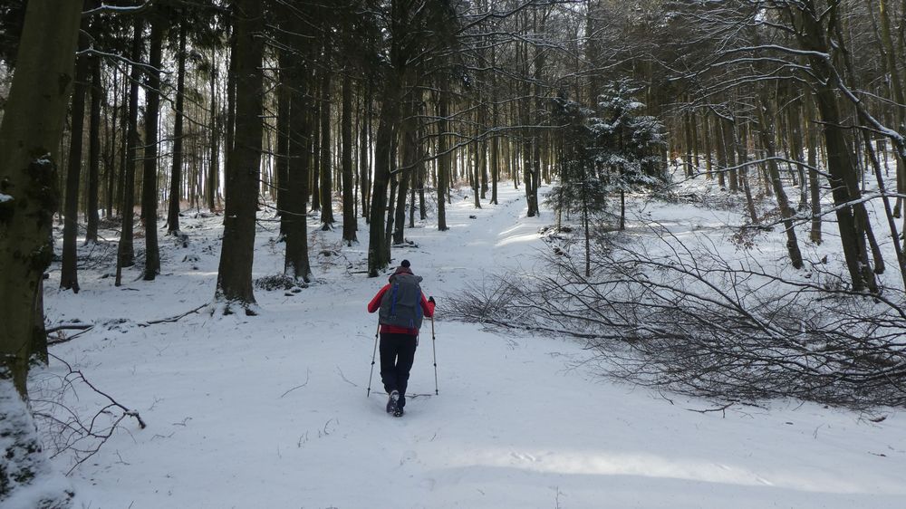 Briloner Kammweg