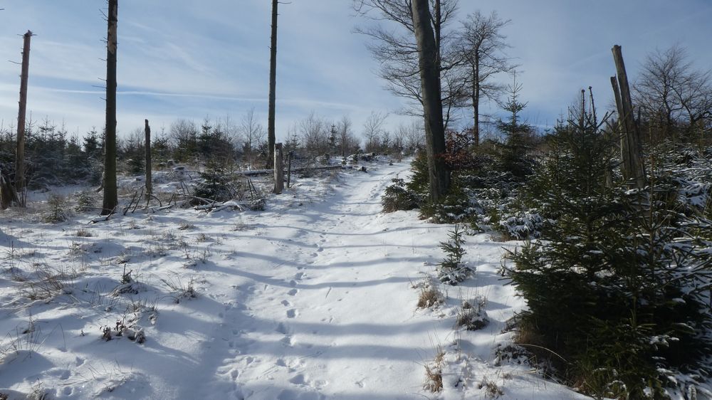 Briloner Kammweg