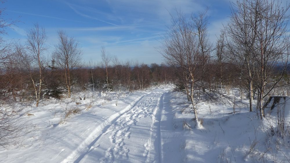 Briloner Kammweg