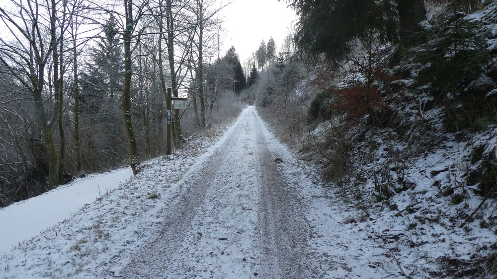 Briloner Kammweg