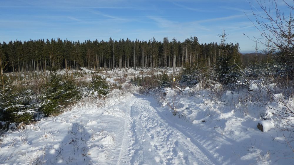 Briloner Kammweg