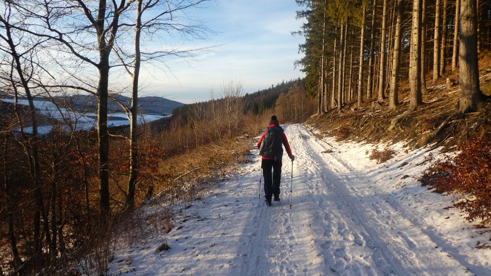Briloner Kammweg