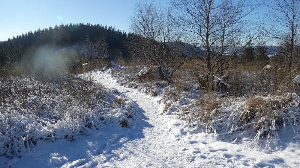 Briloner Kammweg
