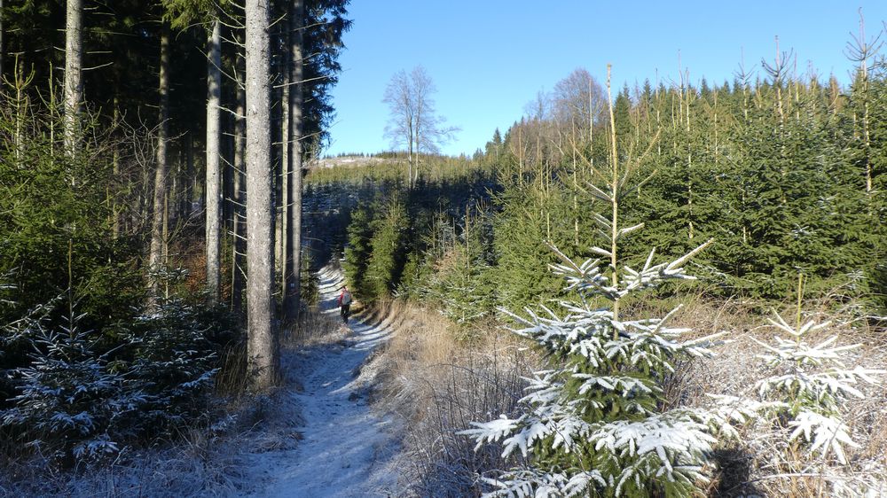 Briloner Kammweg