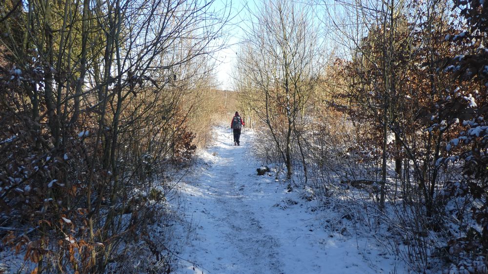 Briloner Kammweg