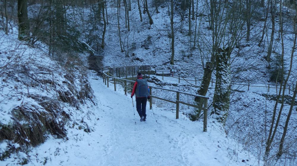 Briloner Kammweg