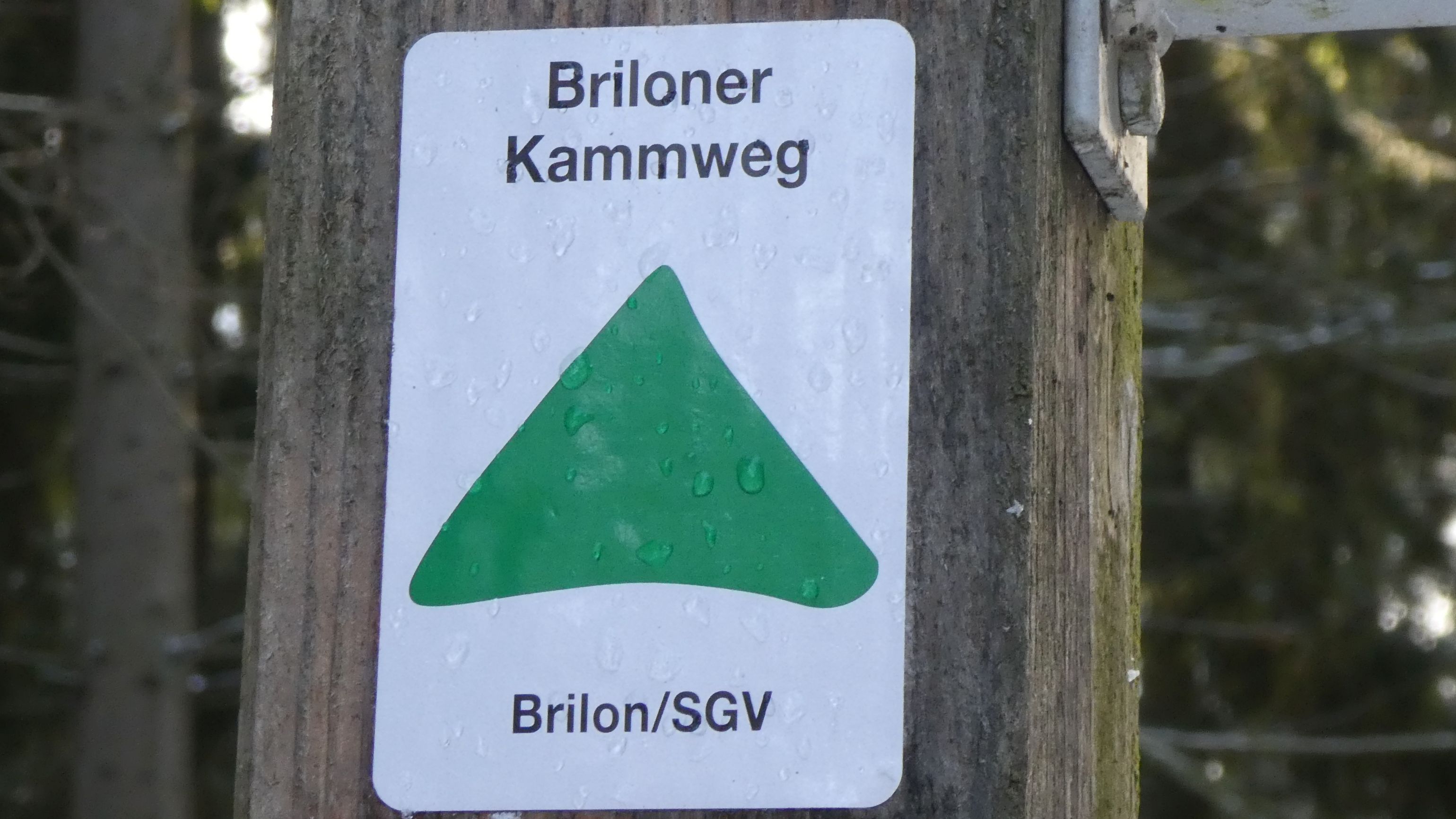 Briloner Kammweg
