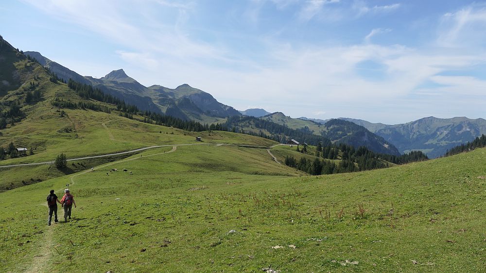 Kanisfluh