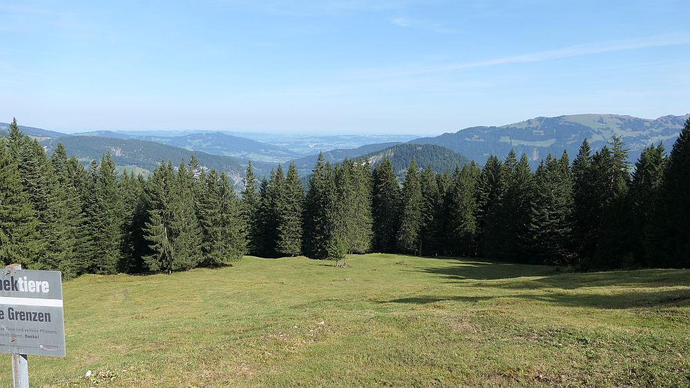 Kanisfluh