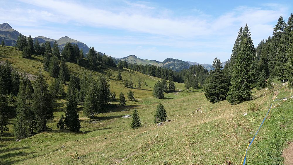 Kanisfluh