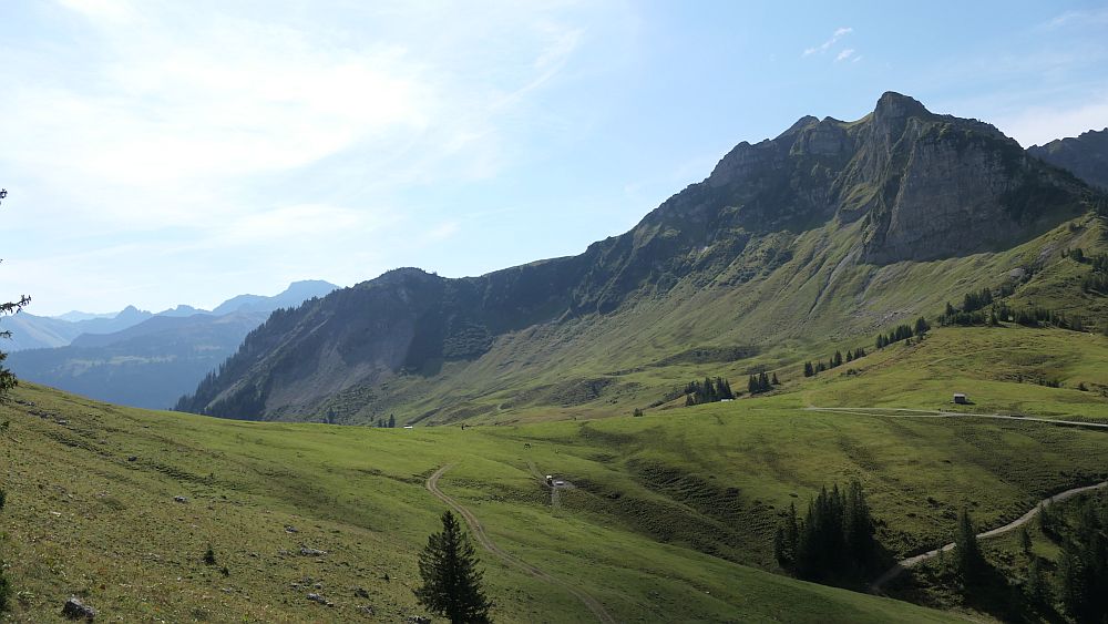Kanisfluh