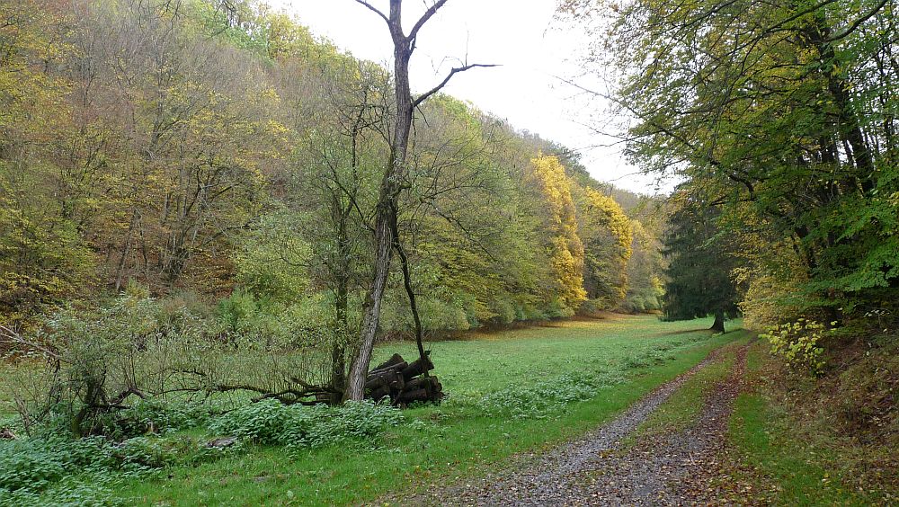 Kellerwaldsteig