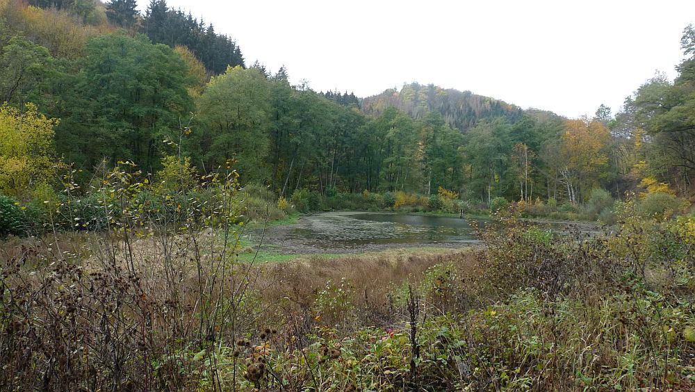 Kellerwaldsteig