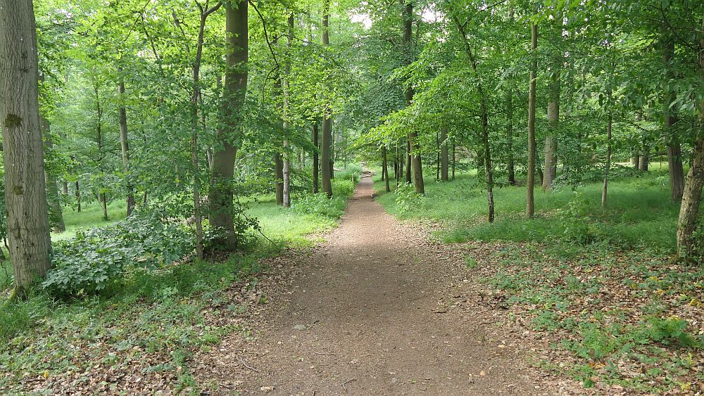 Kellerwaldsteig