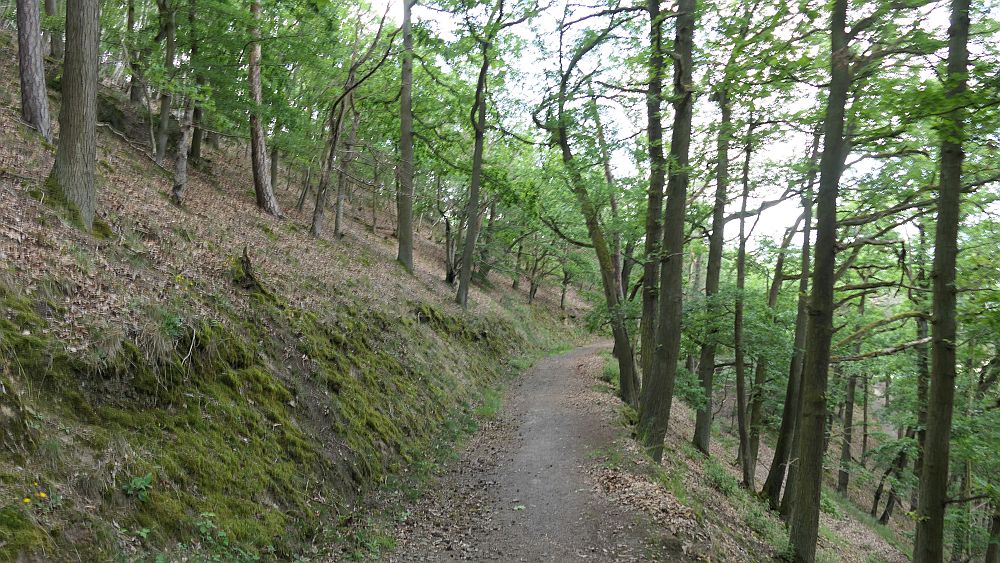 Kellerwaldsteig