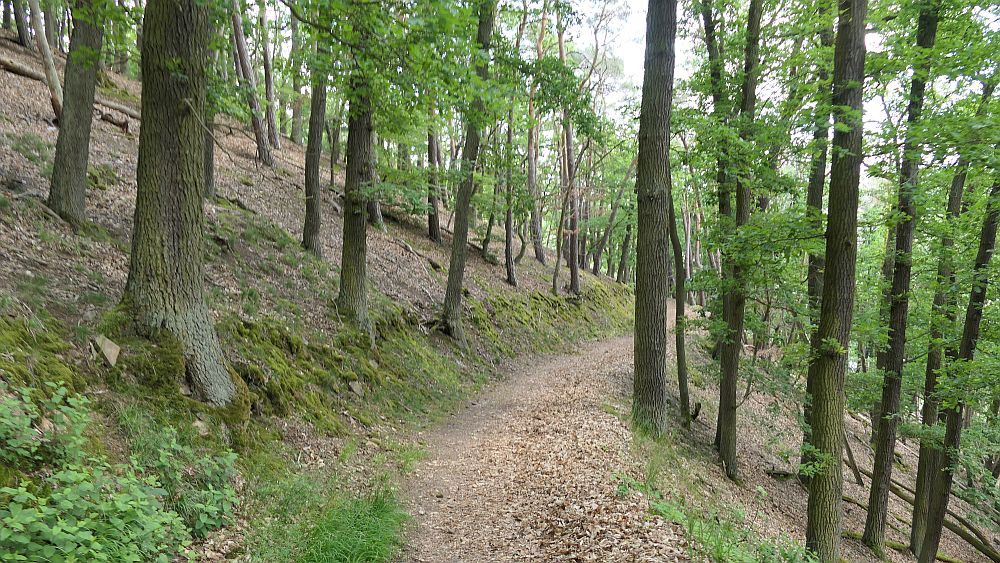 Kellerwaldsteig
