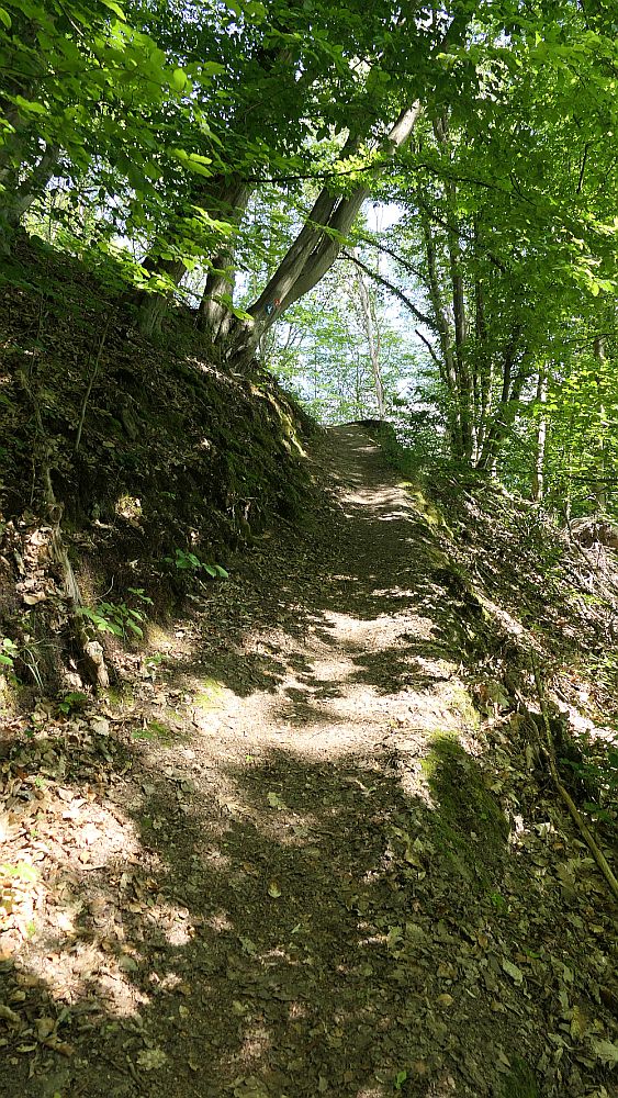 Kellerwaldsteig