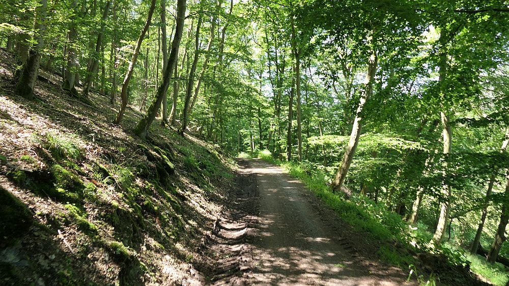 Kellerwaldsteig